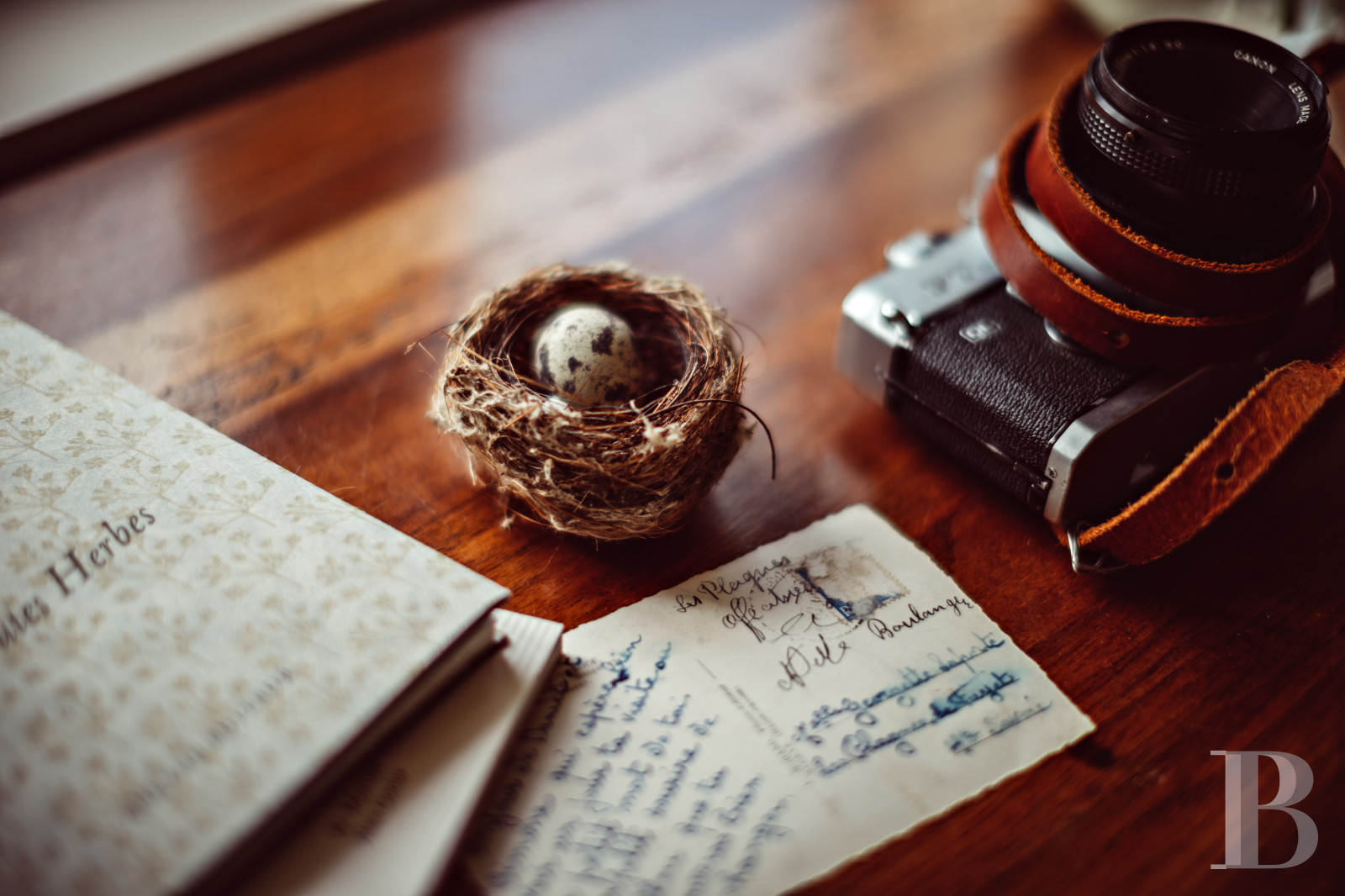 A country house rental for a year with access to the services and facilities of a large estate, an hour’s train ride from Paris in Touraine  - photo  n°5